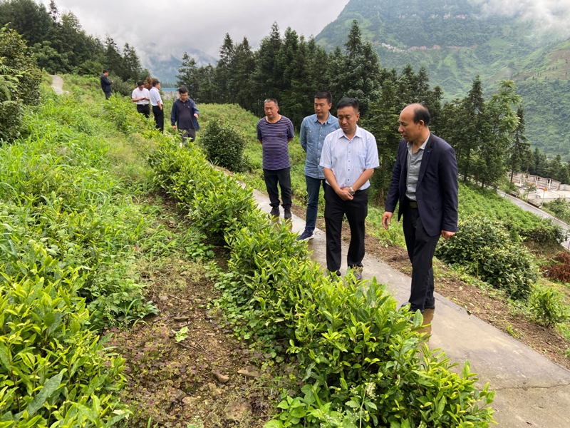 高绍周到镇雄县罗坎镇桐坪村调研并参加集团援建村级活动场所移交仪式