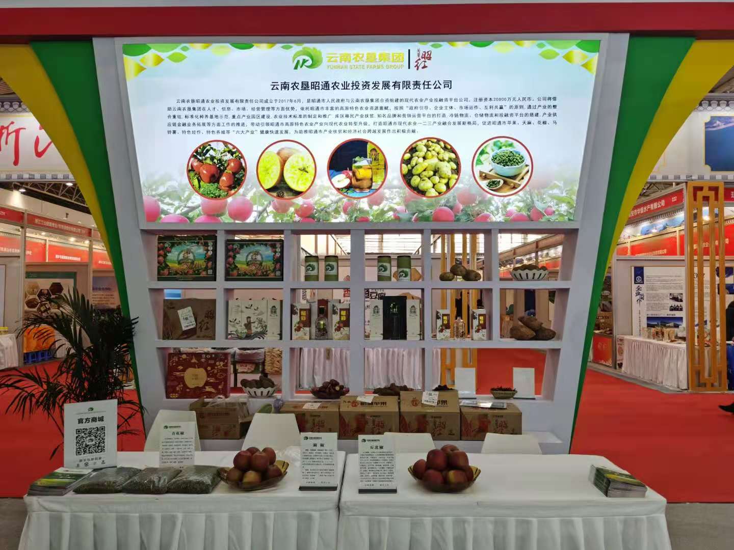 开展技术培训助力陕西蔬菜产业高质量发展-西部之声